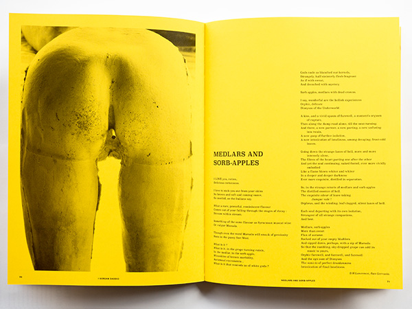 Sarah Lucas - I SCREAM DADDIO p70-71