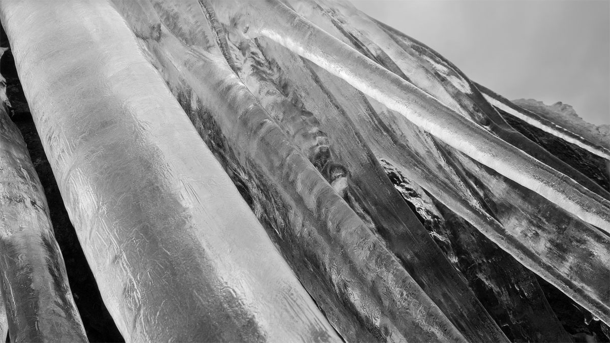 ice-tadpoles-julian-simmons-3