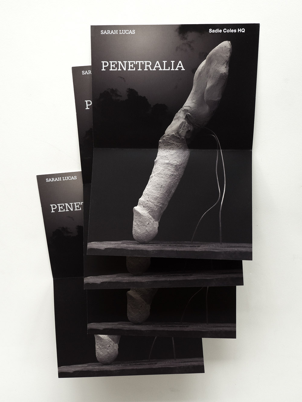 PENETRALIA - PV Card - Sarah Lucas Julian Simmons