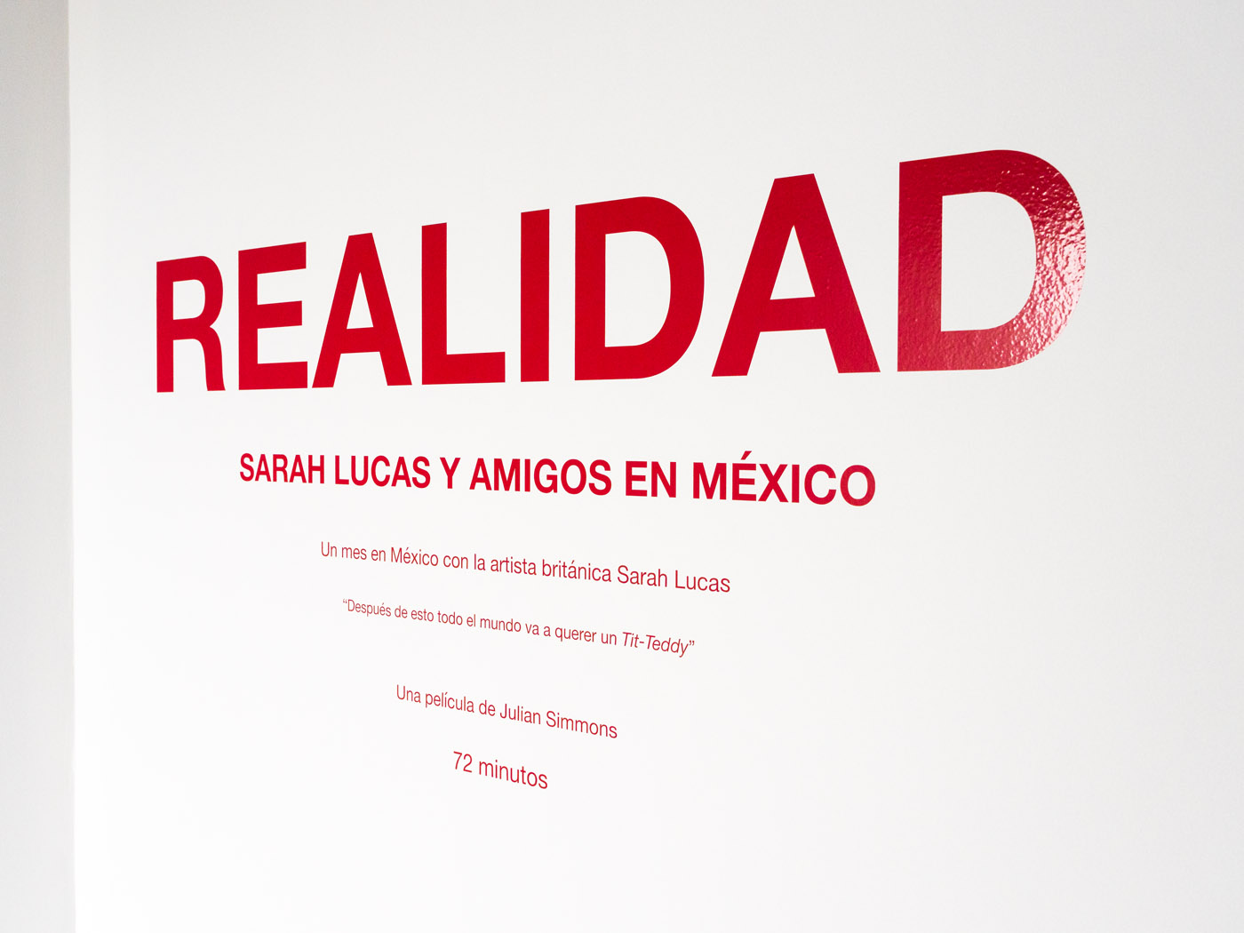 REALIDAD at kurimanzutto 17