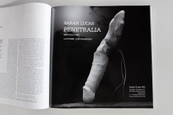 PENETRALIA - Sarah Lucas | Artforum + frieze