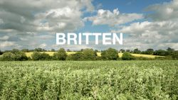 THE BRITTEN FIELD | A Time There Was | Suffolk